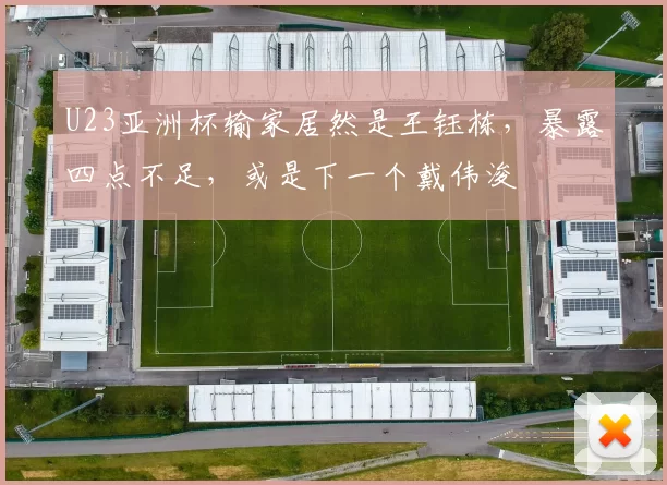 U23亚洲杯输家居然是王钰栋，暴露四点不足，或是下一个戴伟浚